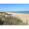Sad pomarańczowy 350m od plaży w Cullera, Walencja
